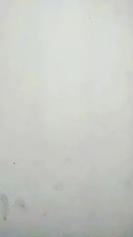 #story BAHAGIA SEKALI#trending #fypシ #Viral 