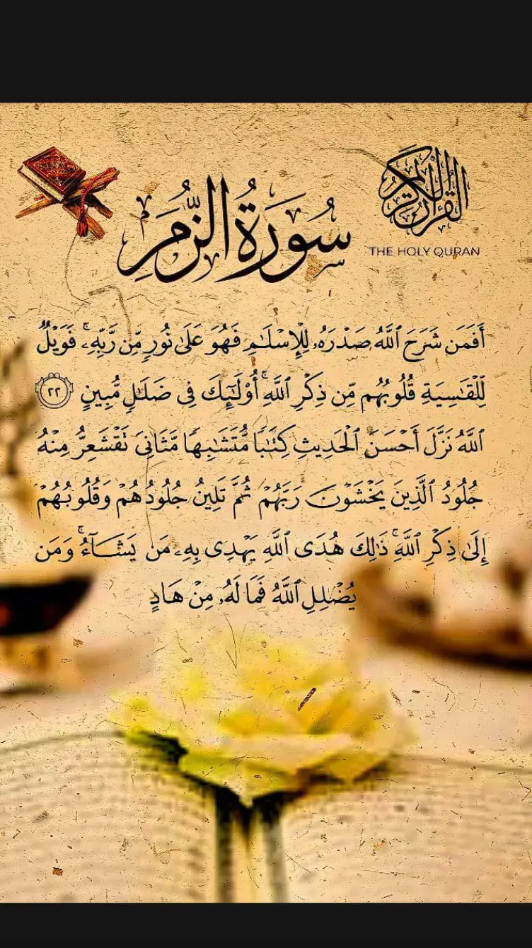 آيات القرانية تريح القلب| القارئ الشيخ محمد الفقيه 🕊️  #مقاطع_قرآنية #قران #آيات_قرآنية #ايات_قرانيه_تريح_القلب #محمد_الفقيه #quran_alkarim #quran #القران_الكريم_راحه_نفسية😍🕋 #ارح_سمعك_بالقران #تلاوة_خاشعة #قران_كريم_ارح_سمعك_وقلبك♡ #اللهم_اجعل_القران_ربيع_قلوبنا_يارب #اكتب_شي_توجر_عليه #ارح_قلبك_المتعب_قليلاً🤍💫 #راحة_نفسية 