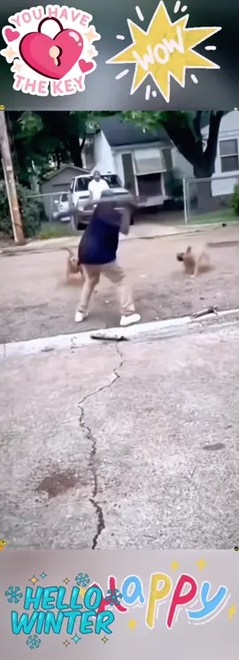 #torch igniter #direct impact igniter #High performance utility #good recommendation #flamethrower  