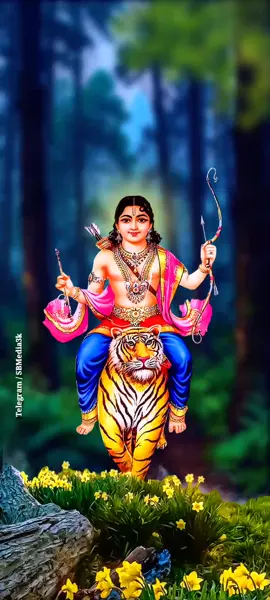 #swamisaranam #ayyappa #ayyappaswami #swamiayyappan #sabarimala #devotionalsong #whatasappstatus #videostatuswhatsapp 