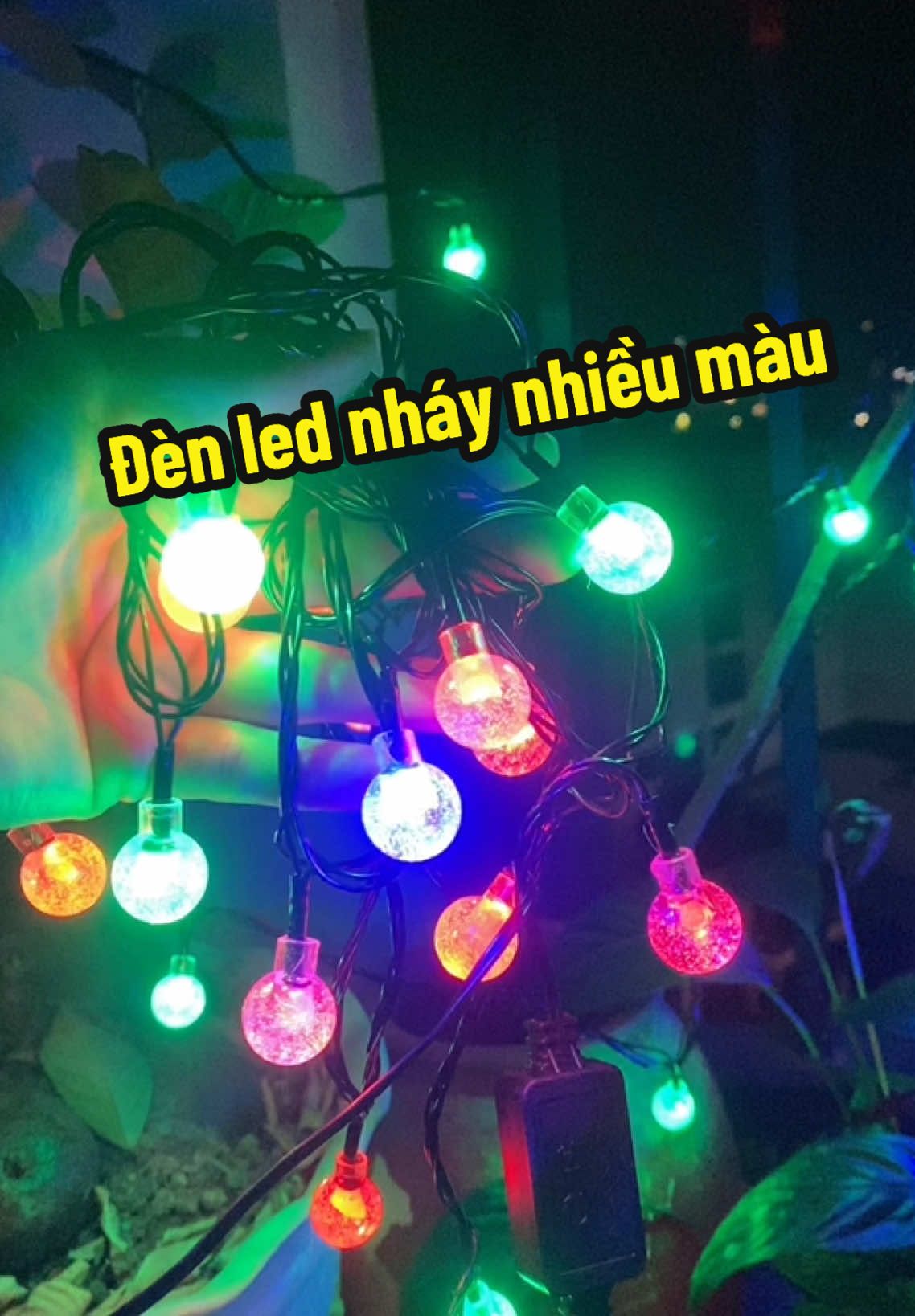 Đèn led bi bọt nháy đa sắc 10M trang trí ban công, sân vườn ✨🌱🧑‍🎄 #xuhuong #xuhuongtiktok #xuhuongtiktok2024 #viralvideo #denled 