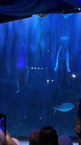 Membalas @yatsarah ini beberapa show yang aku dapet pas kesanaa☺️🫶🏻 #jakartaaquarium 