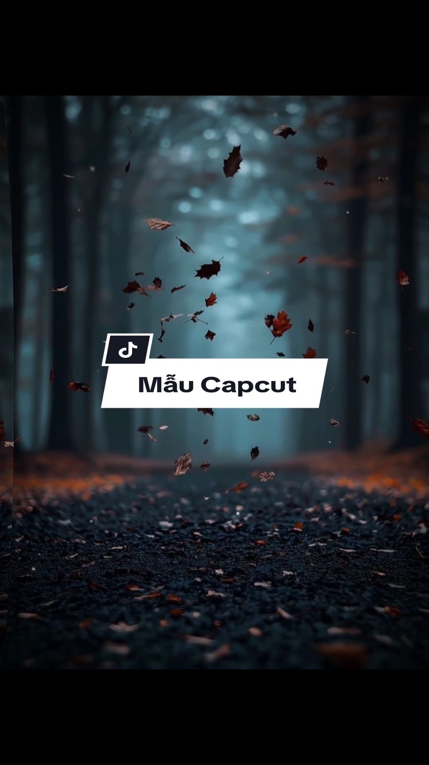 #CapCut Love story Remix #xuhuong #nhachaymoingay #nhacremix #ngoctuan_98 