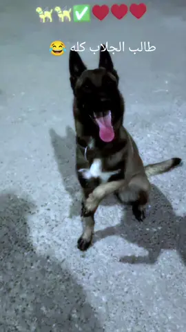 #كسبلوررررررررررررر🥰🥰💞💞🥰🥰💞💞 #لايك_متابعه_اكسبلور 