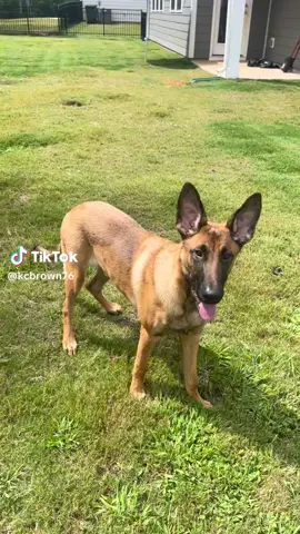 #daddyandmax#honeycomb#theyaretoocute❤️❤️ 