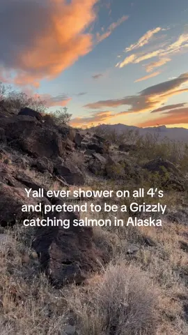 If you see me fighting a bear, help the bear #fyp #stitch #tiktok #grizzly #alaska 