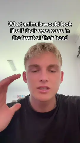 These were so funny😭 #greenscreen #animals #fyp 