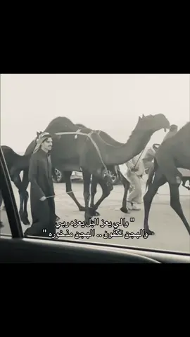 سنابات الصياهد توب التوب ⚡️🐪 #fyppppppppppppppppppppppp #مالي_خلق_احط_هاشتاقات #اكسبلور #fypシ #edits #سلمان_بن_ملهي #الصياهد #الرماح #المزاين #explore @سلمان بن ملهي 