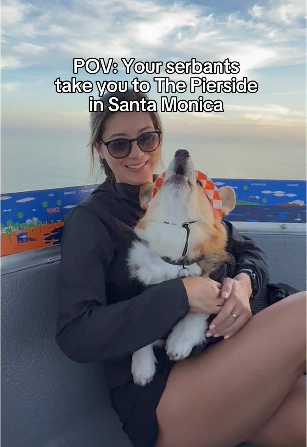 When in Santa Monica, stay at The Pierside. VERY dog friendly and there are so many fun activities to do on the pier.  Thanks for having us! 🎡☀️🌊 #dogfriendly #dogtravel #travel #corgis #dogmom 