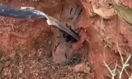 Can you imagine finding oil in your home? omg 💲💵 #happynation #fyp #fy #oldmoney #petroleo #money #monaco #lifestyle #cars #follow #foryou #trendingvideo #bitcoin #trade #rich #viral_video #capcut_edit #viral #views #coins #price #rent #foryoupage #luxurylife #money #moneymotivation #moneymindset #richlifestyle #millionaire #millionairemindset #millionaire #dollar #cash #marketingdigital #arab #real #qatar #dubai #oil