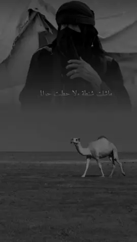 ماشلت شنطة ولا حطيت جوالي #تصميم_فيديوهات #سايل #كسبلو_لايك_كومنت#قويه#قصيدة 