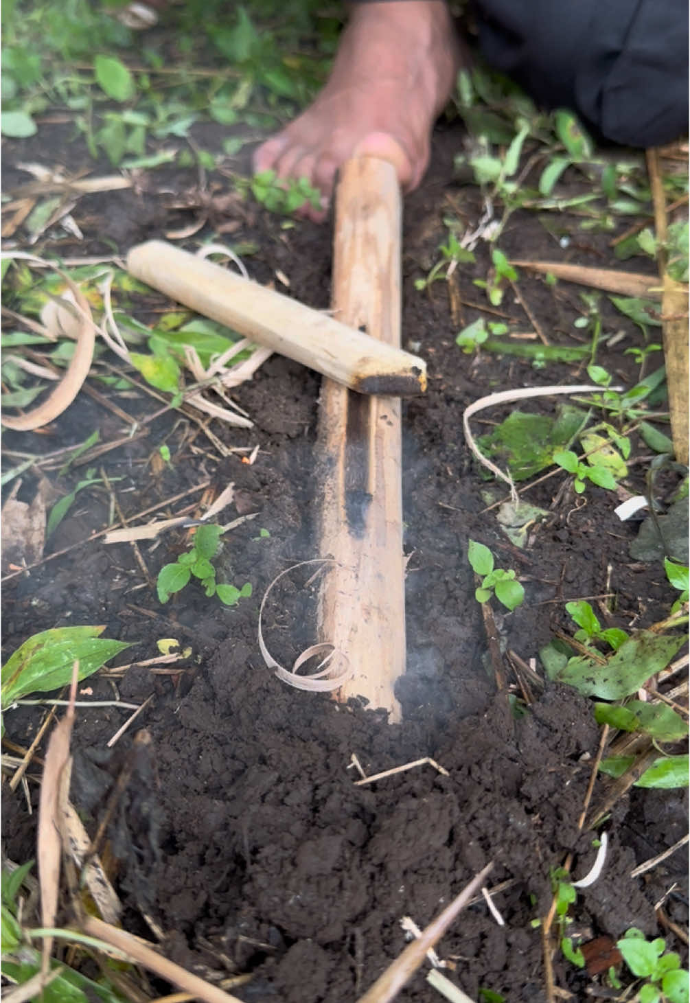 Fastest Fire plow#fireplough #fireskills #frictionfire #primitivefirelighting #survival #survivalfire 