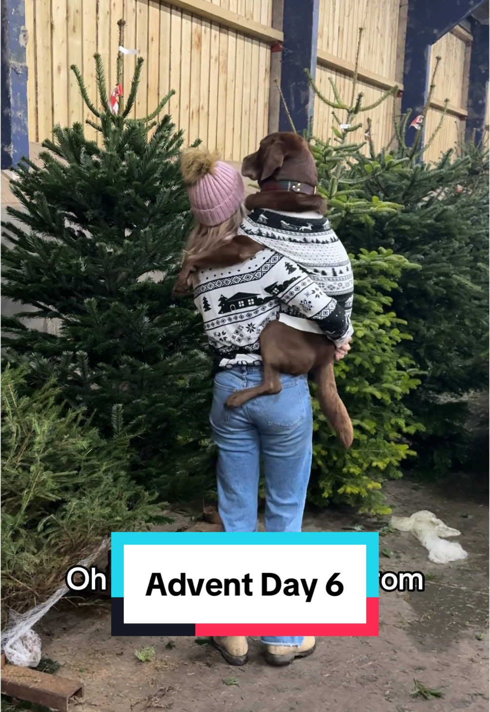 Honestly, the dogs have a point 🤔🎄