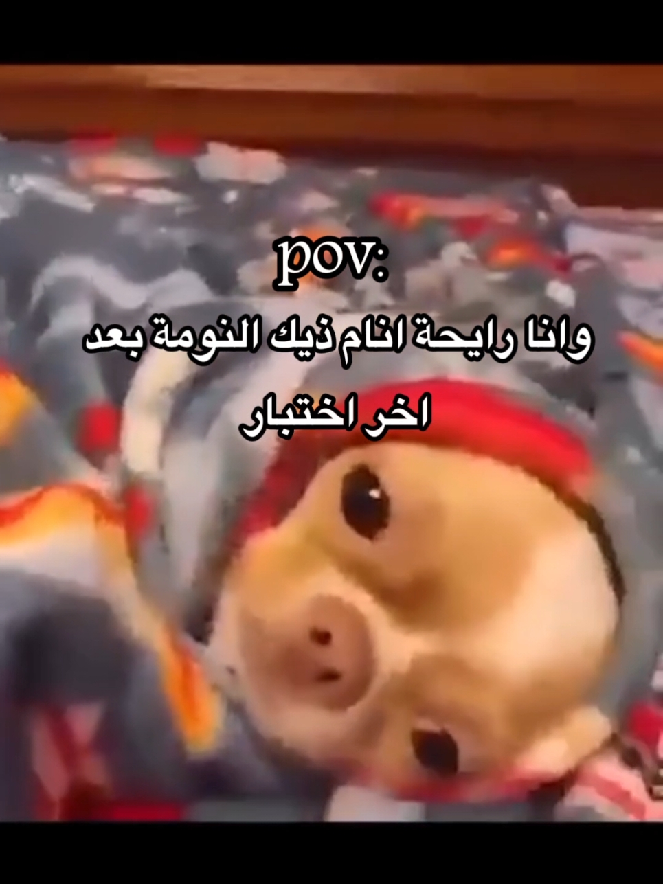 pov: وانا رايحة انام ذيك النومة بعد اخر يوم من الاختبارات 🦦✨️🪄 #مالي_خلق_احط_هاشتاقات🧢 #الشعب_الصيني_ماله_حل😂😂 #اختبارات #اختبار #فلور🍧🏹 #flower🍧🏹 #foryou #fypシ #fyp #foryoupage #fy #fyyyyyyyyyyyyyyyy #fyppppppppppppppppppppppp #pov 