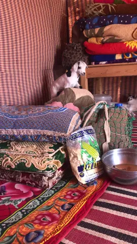 #بوجدور #لعيون #داخلة #داخلة_على_الله_واسيني_قبل_لموت #الصحراء_الغربية🇪🇭حرة #العيون 