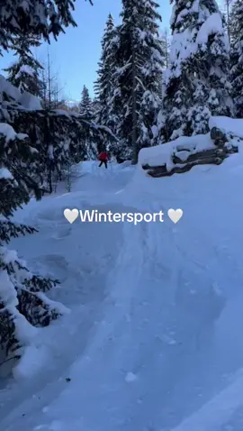 @cvdl_dj #fun #lachen #vakantie #oostenrijk #ski 