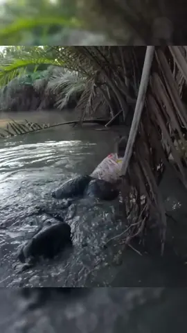 Beautiful girl catching fish #beautiful #girl #fishing #camping #survival #Outdoors #fyp