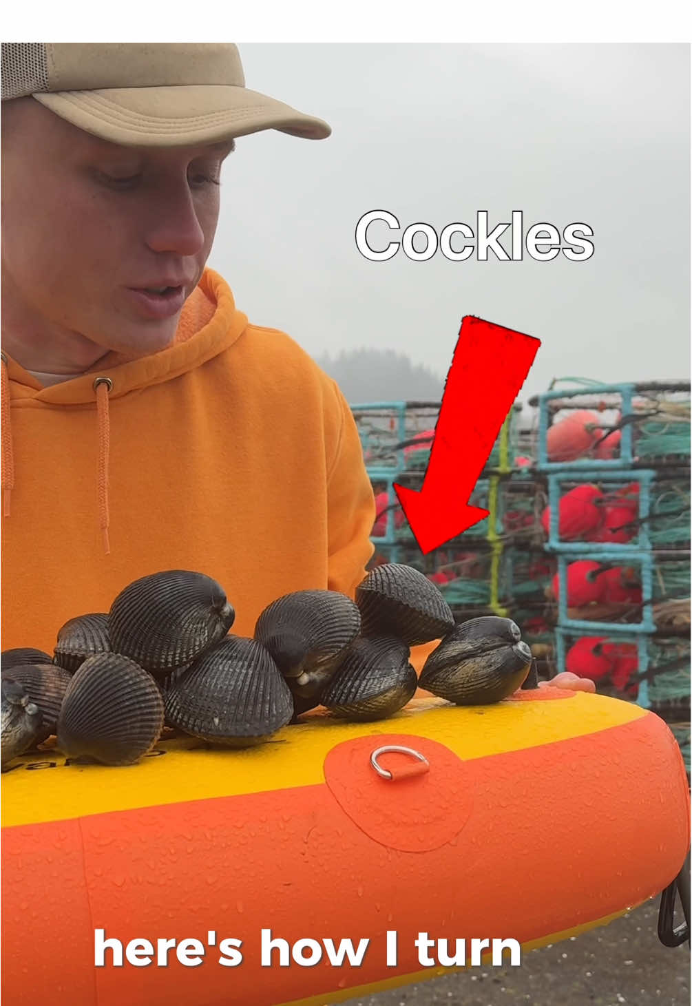 Its scary how delicious these are #clams #oregon #fypage #FoodTok 