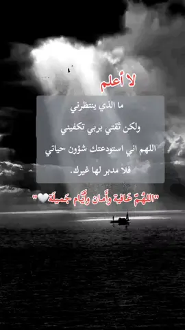 #اكسبلور 
