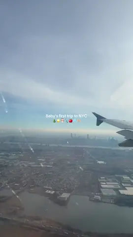 Visit NYC during christmas has been a majorrrrrr bucket list activity for so long 😭🫶🏻 #newyork #newyorkcity #christmasinnewyork #christmas2024 