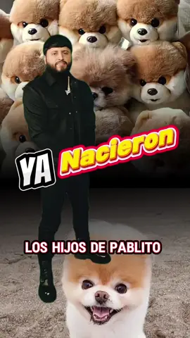 Tony Aguirre anda feliz por que ya nacieron sus cachorritos 😱 #tonyaguirre #potroevangelico #trakashdsptm #corridosbelicos #fyp #viral #interscoperecords #musicamexicana #smartmusicdigital #musicalatina #corridostumbados 