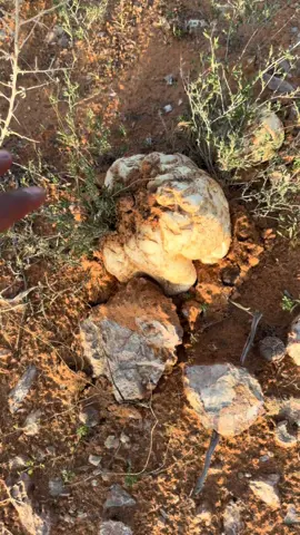 #fyppppppppppppppppppppppp #fyp 