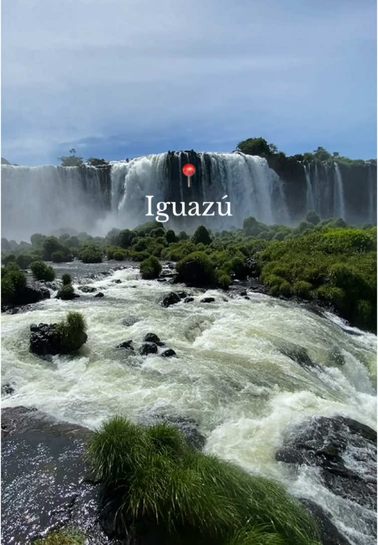 Pura vida ☀️🦜🦎🐢🐒💦 #argentina #brasil #iguazu #cataratasdeiguazu #iguazufalls #fyp #traveltiktok