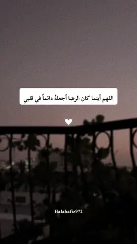 اللهم أينما كان الرضا أجعلهُ دائماً في قلبي#halahafiz972 #بدون_موسيقي #قرآن_كريم_راحة_نفسية🌷🌻 #هزاع_البلوشی #قالوا_بشرناك_بالحق_فلا_تكن_من_القانطين 