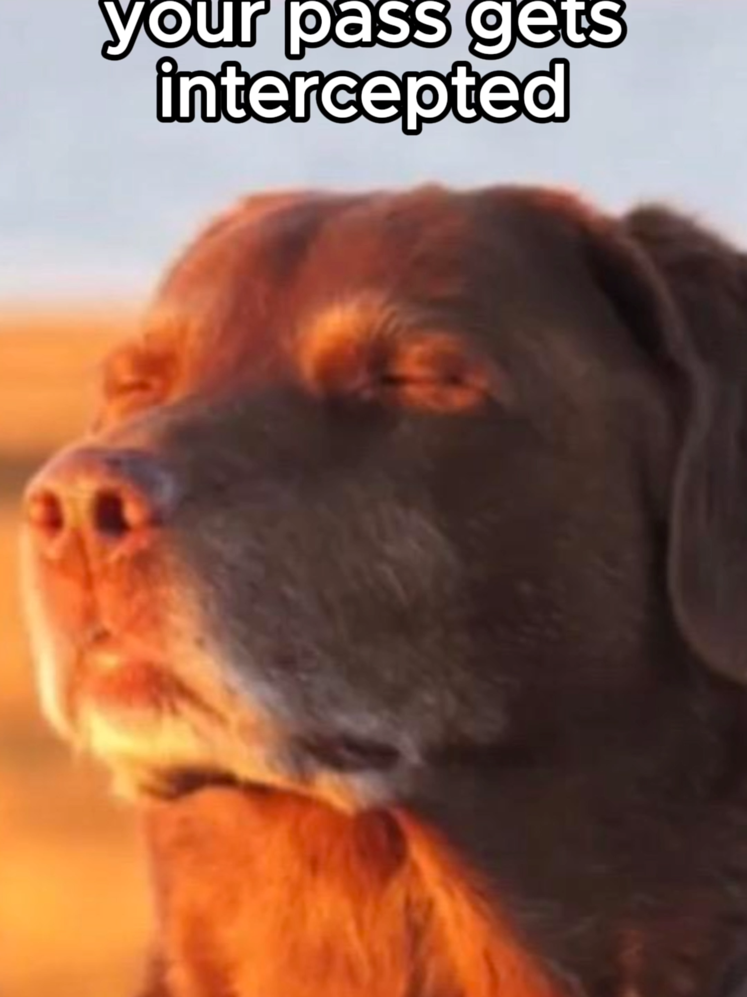 shi got me stressin 😭😔 #handball #relatable #dogeyesclosedinthesunmeme #handballvideo #pallamanopaese  #fyp @pallamanopaese
