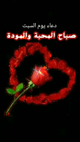 #دعاء #صباح #يوم #السبت #صباح_الخير #صباحكم_أحلى_صباح #صباحكم_معطر_بذكر_الله 