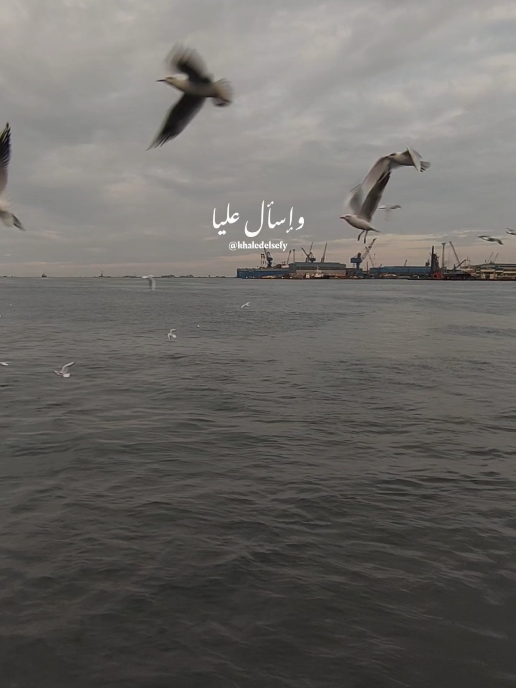 قولهم وحشاني ونفسي أشوفها ❤️ #خالد_الصيفي #شيرين #اسال_عليا #شيرين_عبدالوهاب #رومانسي #حب @خـالـد | khaled 