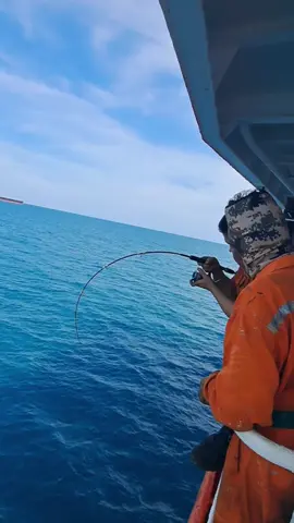 straik ikan tapi ikan nya lepas🤣🤣 #pelautindonesia🇲🇨🇲🇨  #storypelautindonesia🇮🇩🇮🇩  #lintasasia  #lintasnegara  #kapaltanker  #pelautpunyacerita⚓  #mancing  #mancingmaniamantap 
