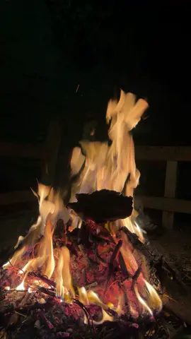 #مسلسل_الحاج_محمدابودياب #tiktokindia #🤍🤍🤍 #yyyyyyyyyyyyyyyyyyyyyyyyyyyyyy #yyyyyyyyyyyyyyyyyyyyyyyyyyyyyy #قنا 