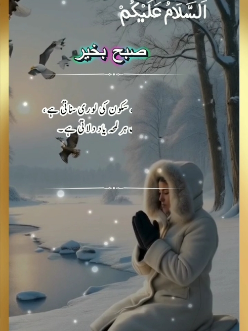 Good Morning ☕🥀 Subha Bakhair dua Status 🤲 Part 40 .  . . . . #happysaturday   7 December 2024 . . . #subhanallah #plzzz_saport_me #goodmorning #subhabakhair #foryou #happymorning #viraltiktok #fyppppppppppppppppppppppp #unfrezzmyaccount #tiktokofficial #duastatus #growmyaccount #fyp #viewsproblem 