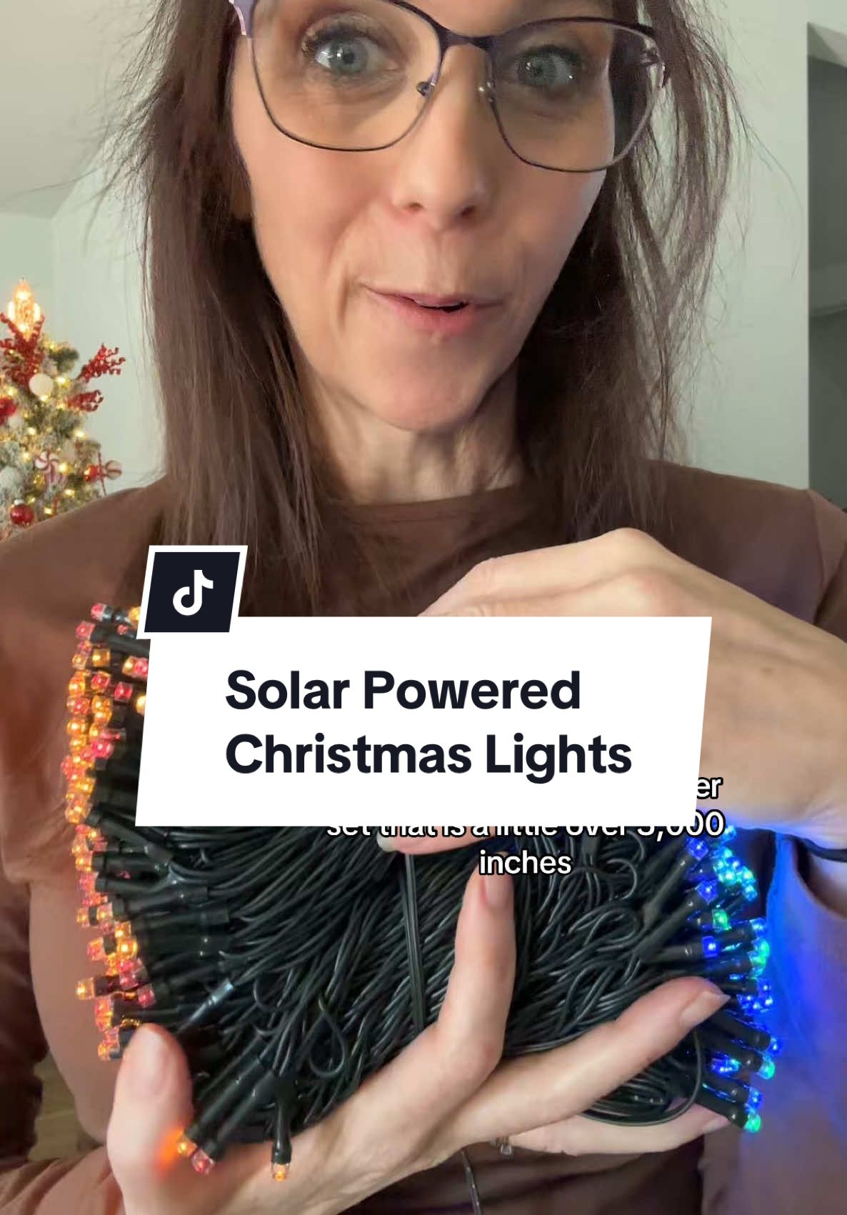 Solar powered Christmas lights are the best option i have seen! #christmaslights #christmaslight ##christmastiktok #christmasdecor #tiktokshopfinds 