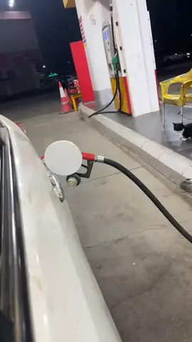 #عشوائيات #تبوك #viral #explore #4u 