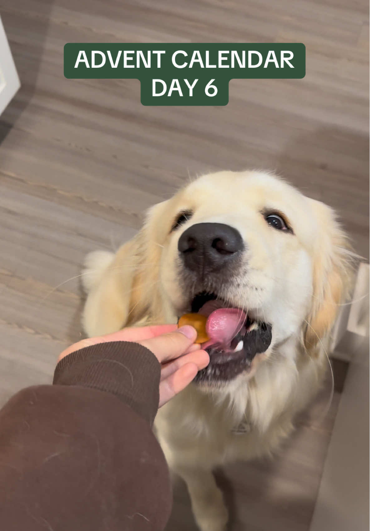 💚❤️🎄🎅🏼