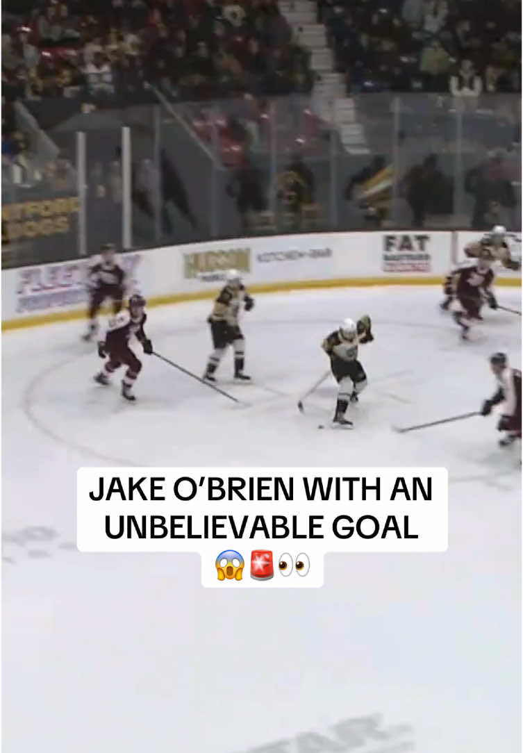 UNREAL MOVE BY O’BRIEN #ohl #hockey #sportstiktok @Brantford Bulldogs 
