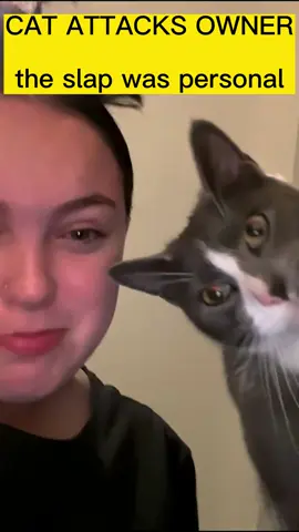 Why she attacks me!!?😭😭#funnyy #funnyvideo #funnymoments #fyp #tik #cat #cats #catsoftiktok #kitten #kittentok 