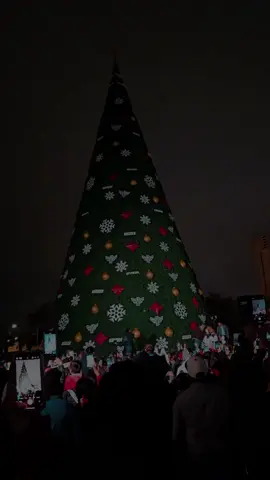 Encendido de pino navideño ✨️#navidadentiktok #reynosa #viralvideos #pino #encendidodelarbol🌲⛄  #paratiiiiiiiiiiiiiiiiiiiiiiiiiiiiiii 