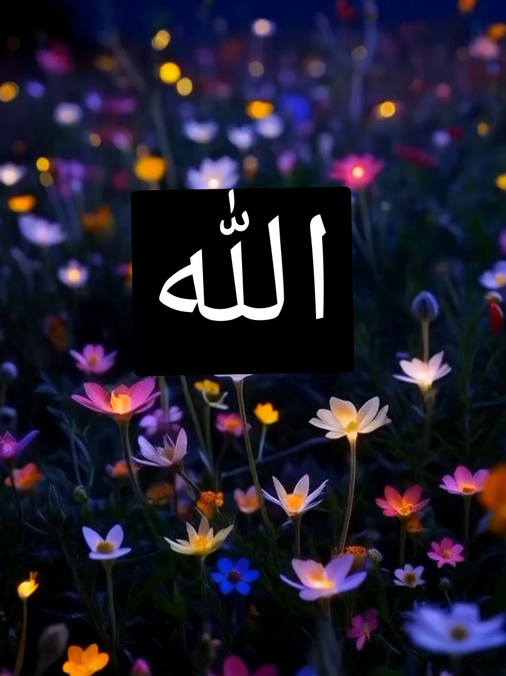 Самый красивый Азан #рекомендации #Азан #Намаз #Ислам #Дуа #Аллах #тикток #видео #цветы #мусульмане #бисмиллях 