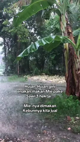 Hujan PAGI ini.. #happyweekend #hujan #beranda #foryou #fypシ #foryoupage❤️ 