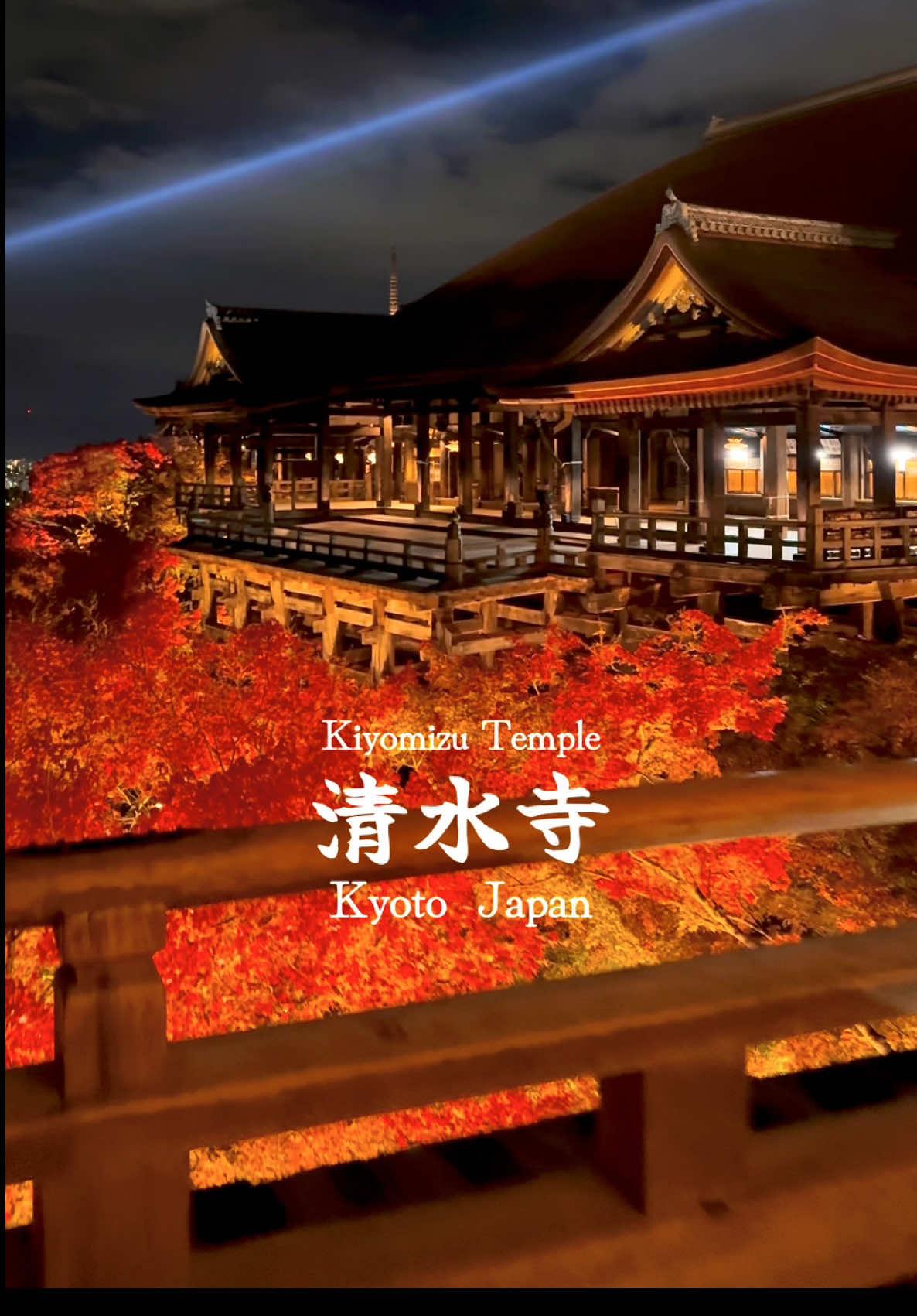今年も昼夜美しかった清水寺の紅葉🍁 📍Kiyomizu Temple | Kyoto🇯🇵 🗾清水寺 世界文化遺産にも登録されている清水寺。 まだ見ぬ穴場を探すのも良いですが、たとえ混雑してても一度は絶対訪れてほしいと思うマイフェイバリットプレイス・清水寺🍁✨️ 昼も夜も見てほしい絶景です✨️ 夜は閉門間際に清水の舞台からたまたま人がいなくなった一瞬を撮りました！安心してください、後ろにめっちゃ人います😂 Kiyomizu-dera Temple is also registered as a World Heritage Site. It's nice to explore hidden spots that you haven't seen yet, but my favorite place is Kiyomizu-dera Temple, which I think you should definitely visit at least once, even if it's crowded. 🍁✨️ It's a spectacular view that you should see both day and night. ✨️ A miracle happened that night! I took this photo of the moment when people disappeared from the stage at Kiyomizu just before the curtain closed at night! There are a lot of people behind me 😂 [Announcement] Finally, subscriptions have started!️ If you sign up for my subscription, you will receive the ultimate healing💞I continue my activities with the desire to bring healing to as many people as possible, so I would be very happy if you would sign up as a sign of support. Thank you if you like🥰 【お知らせ】 遂にサブスクリプションの運用をスタートしました‼️ 私のサブスクにご登録すると、極上の癒しを提供いたします💞1人でも多くの人に癒しをお届けしたいという思いで活動を続けているので応援と思って登録して頂けるととても嬉しいです。良かったらよろしくお願い致します🥰 ✼••┈┈┈┈••✼••┈┈┈┈••✼ ✔🗓2024 / 11  ▪️Beautiful places in japan🇯🇵 ▪️Please check out➴⡱@matcha.camera ▫️𝙲𝚊𝚖𝚎𝚛𝚊:  iPhone15promax / Insta360 Flow PRO ✼••┈┈┈┈••✼••┈┈┈┈••✼ #japan #japantour #japantourism #japantravel #japantrip #anime #autumn #autumnleaves #japangram #일본 #일본여행 #교토 #kyoto #kiyomizuderatemple #kiyomizudera #temple #kyototrip #kyototravel #traveljapan #tripjapan #清水寺 #清水寺ライトアップ #紅葉 #京都 #京都観光 #京都旅行 #そうだ京都行こう #世界遺産 