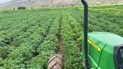 #papas #peru🇵🇪 