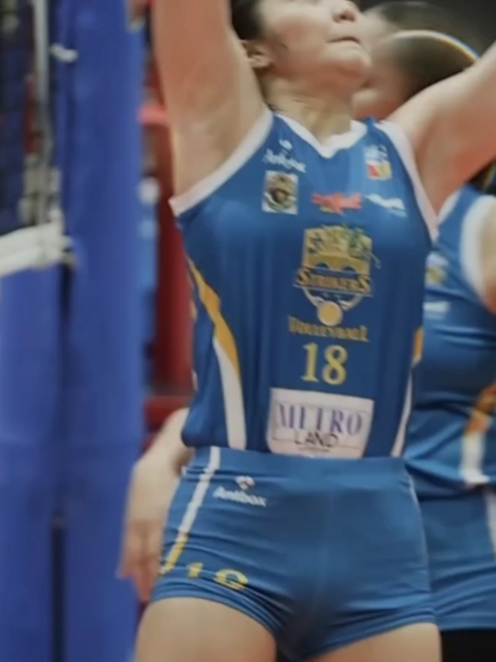 💙 #volleyballworld #volleyball #voliamoneiperte #voliasik #volleyballplayer #fyp 