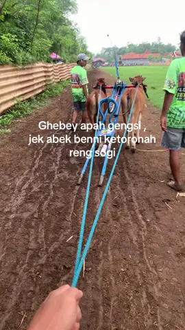 #fypシ #berandatiktok #katakatamadura #kerapansapimadura 