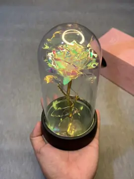 Lampu hias bunga bisa untuk rekomendasi kado bwt cewe  #lampu #lampuhias #lapuled #lampubunga #lampu #lampuhias #lampuled #lampuled #lamputidur #kadocewe #kadocewek #kadountukcewek 