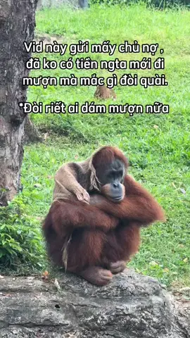 trời ơi sao mà thử thách con giữ vậy 🤦