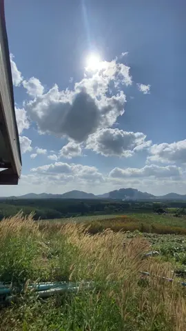 🌳🍃⛰️💚#วิวภูเขาสวยๆ #ธรรมชาติบําบัด #อำเภอนาด้วง #เลย 