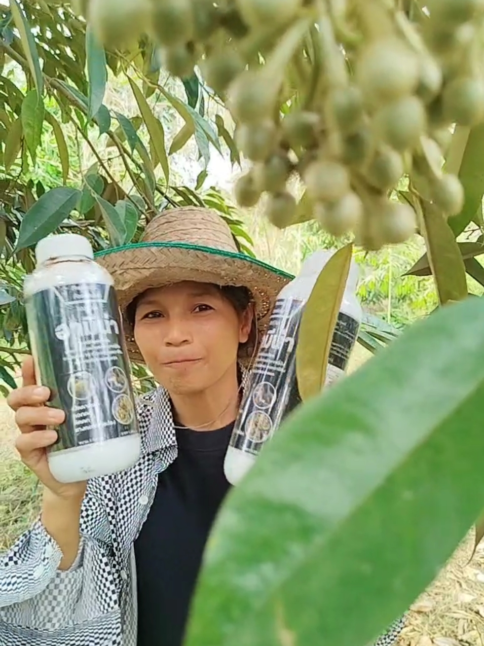 #กรดอะมิโน 18 ชนิด#อามีน่า #ช่วยกระตุ้นตาดอก #ช่วยเปิดตาดอก #ช่วยเปิดตาดอก#รีวิว #รีวิวของดีบอกต่อ #อีสาวทำสวน 